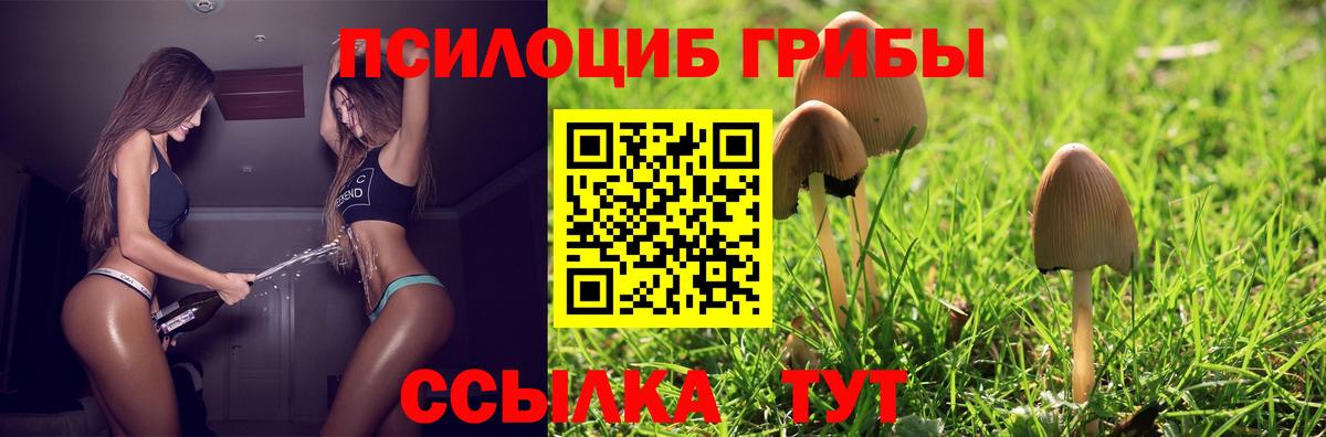 Надым  Галлюциногенные грибы Psilocybe  Вход с VPN 